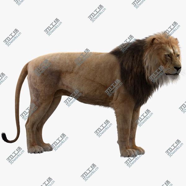 images/goods_img/20210312/3D model Lion Rigged/1.jpg